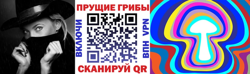 ОМГ ОМГ зеркало как найти наркотики Шатура Псилоцибиновые грибы Psilocybine cubensis