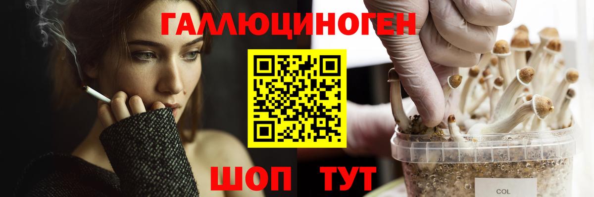 Галлюциногенные грибы MAGIC MUSHROOMS Шатура